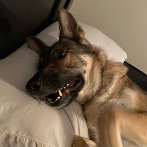 Meet your Posher, Devin